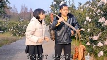 被贬到乡下的短剧，乡野流放，逆境中的重生