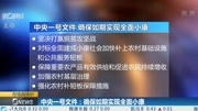 《《财经早班车》》第20200206期中央一号文件:确保如期实现全面小康财经完整版视频在线观看爱奇艺