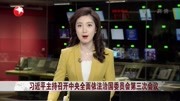  习近平主持召开中央全面依法治国委员会第三次会议资讯搜索最新资讯爱奇艺