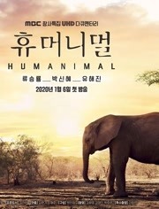 人类-动物