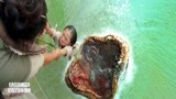 西游降魔：鱼怪张开血盆大口，一口一个小女孩，太恐怖了！