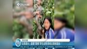 云南建水:直播“猎捕＂野生动物 网络主播被查处资讯搜索最新资讯爱奇艺