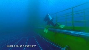 Watch the latest Dive Into China Episode 6 (2020) online with English subtitle for free English Subtitle