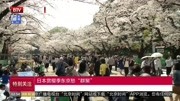 日本赏樱季 东京愁＂群聚＂资讯高清正版视频在线观看–爱奇艺