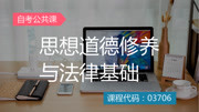 自考专科公共课 思修 03706 人力 会计等专业通用 免费 自考思想道德修养与法律基础001知识名师课堂爱奇艺