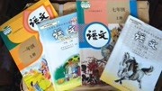 小学3年级 语文 《故事性课文的预测策略复习》—2知识名师课堂爱奇艺