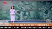 习近平对四川西昌市经久乡森林火灾作出重要指示资讯搜索最新资讯爱奇艺