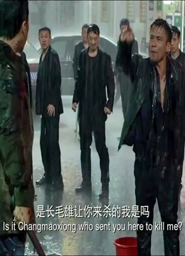 特殊身份:甄子丹:还是那个丹哥,我一只手打你们全部,霸道