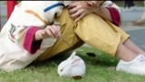 《嘉人本色》嘉嘉处理实验用的兔子 却心软带回去养了起来