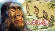 160万年前人类是如何生存的?人类发展的现在,都经历了什么?生活完整版视频在线观看爱奇艺