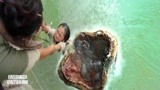 西游降魔：鱼妖一个血盆大口，吃掉小女孩，这段太恐怖！