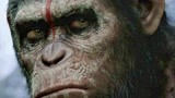 《猩球崛起》：两大智慧种族的碰撞，地球将被大猩猩统治！