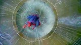 超凡蜘蛛侠：彼得设下蜘蛛感应网，不料发现了一个惊天大秘密！