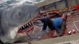 大白鲨：大鲨鱼一跃而起，一嘴竟把船长活吞了！