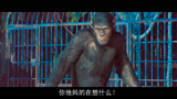猩球崛起：猩猩说话引发全剧高潮，全片脱颖而出就靠这句NO！
