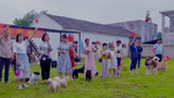 战狼犬：微笑参加战狼争霸赛，发挥最强能力，简直太厉害！