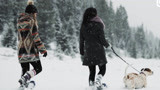 《冬日滑雪屋》宣传片首发：体验在雪场俯冲直下的快感