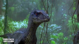 侏罗纪公园3：恐龙呼叫同伴，所有恐龙都赶来了，博士危险了