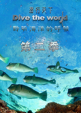 온라인에서 시 Dive The World (2020) 자막 언어 더빙 언어 – iQIYI | iQ.com