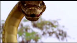 狂蟒之灾：面对这样的大蟒蛇，只有两个字：绝望啊！
