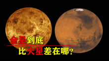 明明金星离地球最近，为何人们不登录金星，去登录火星呢？