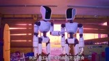 智能大反攻：哈哈哈，这两个短路的机器人太可爱了