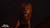 狮子王：辛巴王者归来为父报仇，与刀疤争夺王位，一触即发