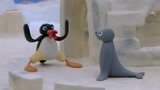 企鹅家族：小企鹅和海豹一起玩儿捉迷藏，吓了小企鹅一跳