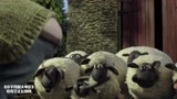 小羊肖恩：主人姿势太销魂，羊妈妈捂住小羊的眼睛，笑喷！