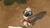 天才眼镜狗：皮博迪是一只聪明的小狗，自小就与众不同！