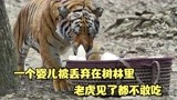 一个婴儿被丢弃在树林里，老虎见了都不敢吃，国产片《开封府》