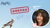 《向风而行》花絮：程霄和polly的默契养成记