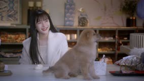 Watch the latest EP 22 Yun Pian Helps Jing Chen With His Fear of Dogs (2023) online with English subtitle for free English Subtitle