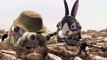 猫屎一号：两只兔子当上雇佣兵，战斗力不是一般强悍