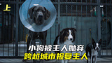 小狗被主人弃养，横跨半个国家报复狗主人，喜剧《复仇狗联盟》上