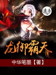 龙御霸天