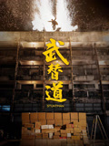 武替道粤语版