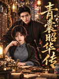 青囊昭华传