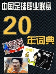 中国足球职业联赛20年词典