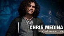 Chris Medina - What Are Words 高清官方版