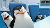 《马达加斯加的企鹅》全球同步首发中文片花