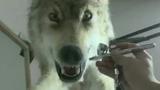 《狼图腾》惨烈画面靠道具 不让动物受伤