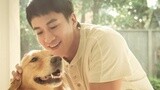 《我的男友和狗》“十年一生”金毛里拉预告片