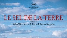 線上看 Le.Sel.de.la.Terre.French.BDrip.1080p.2014 (2015) 帶字幕 中文配音，國語版