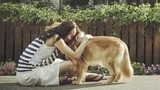 《我的男友和狗》曝里拉特辑 宠物电影治愈人心