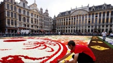 比利时打造巨型鲜花地毯庆祝