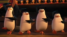 马达加斯加的企鹅（片段）企鹅金库只想偷零食