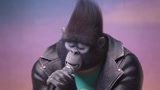 欢乐好声音（片段）黑帮猩猩颠覆自我深情献唱