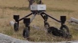 机器人也能当“牛仔” 澳发明放牧机器人帮助农民