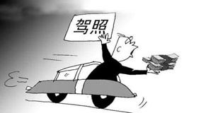 线上看 告诉你个秘密 我的驾照是买的 (2017) 带字幕 中文配音